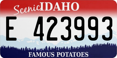 ID license plate E423993