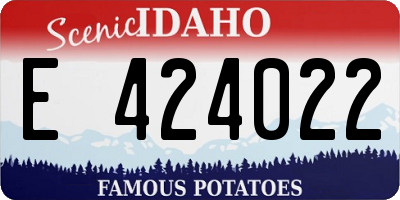 ID license plate E424022