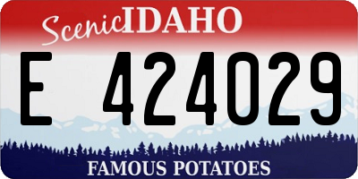 ID license plate E424029