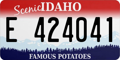 ID license plate E424041