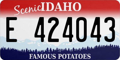 ID license plate E424043
