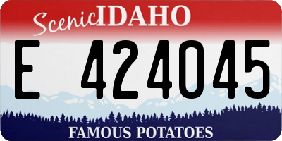 ID license plate E424045