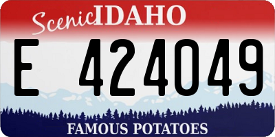 ID license plate E424049