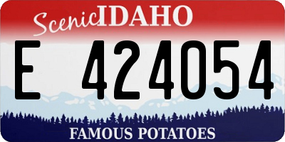 ID license plate E424054
