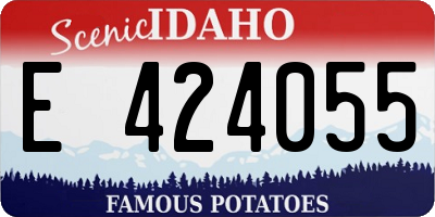ID license plate E424055