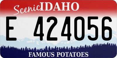 ID license plate E424056