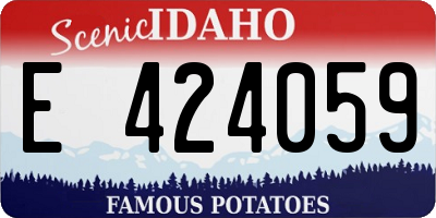 ID license plate E424059