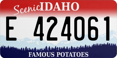 ID license plate E424061