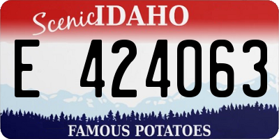 ID license plate E424063