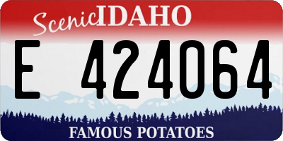 ID license plate E424064