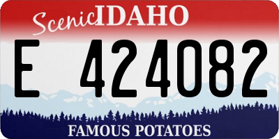 ID license plate E424082