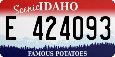 ID license plate E424093