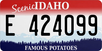 ID license plate E424099