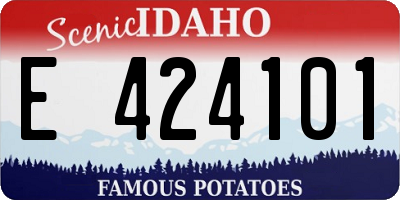 ID license plate E424101