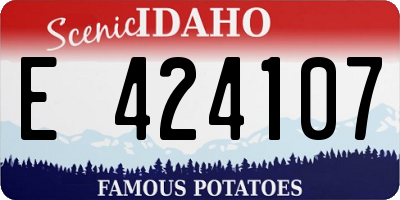 ID license plate E424107