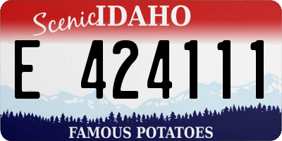 ID license plate E424111