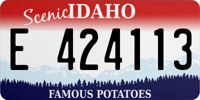 ID license plate E424113
