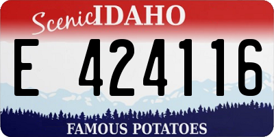 ID license plate E424116