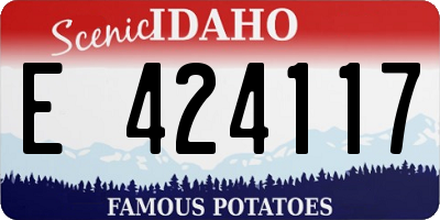 ID license plate E424117