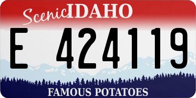 ID license plate E424119