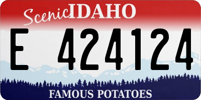 ID license plate E424124