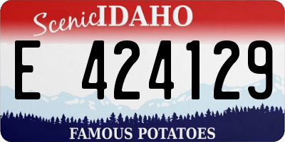ID license plate E424129