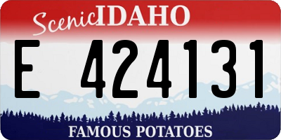 ID license plate E424131