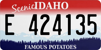 ID license plate E424135