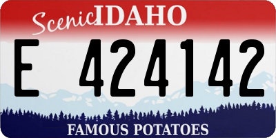 ID license plate E424142