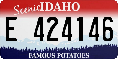 ID license plate E424146