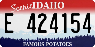 ID license plate E424154