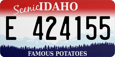 ID license plate E424155