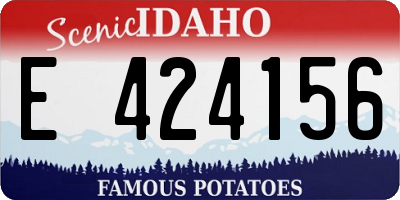 ID license plate E424156