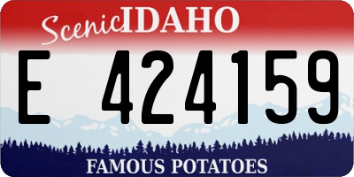 ID license plate E424159