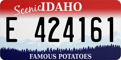 ID license plate E424161