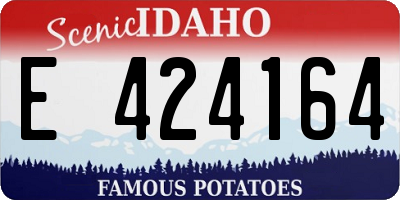 ID license plate E424164