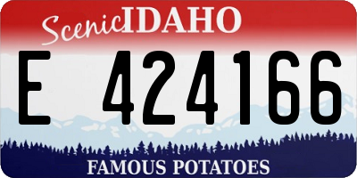 ID license plate E424166