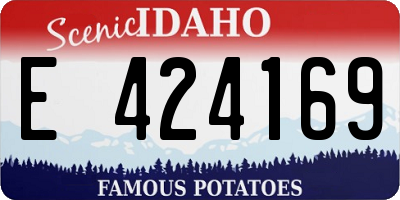 ID license plate E424169
