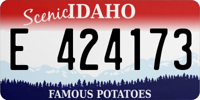 ID license plate E424173