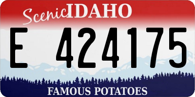 ID license plate E424175