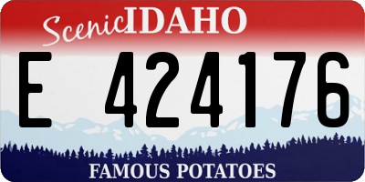 ID license plate E424176