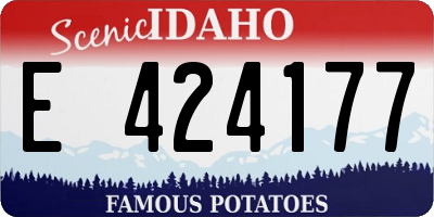 ID license plate E424177