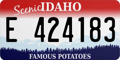 ID license plate E424183