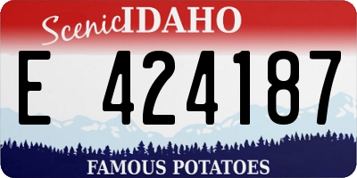 ID license plate E424187