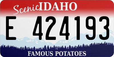 ID license plate E424193