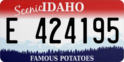 ID license plate E424195