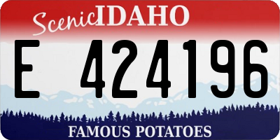 ID license plate E424196