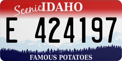 ID license plate E424197