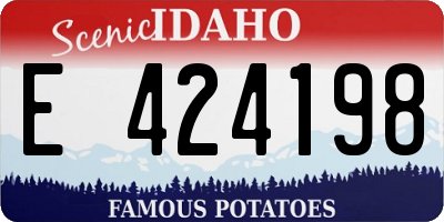 ID license plate E424198