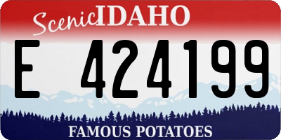 ID license plate E424199